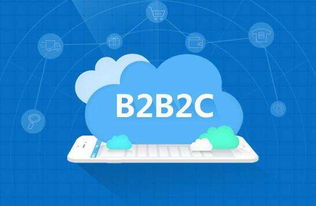 B2B2C多用户商城系统,企业为何选择定制开发